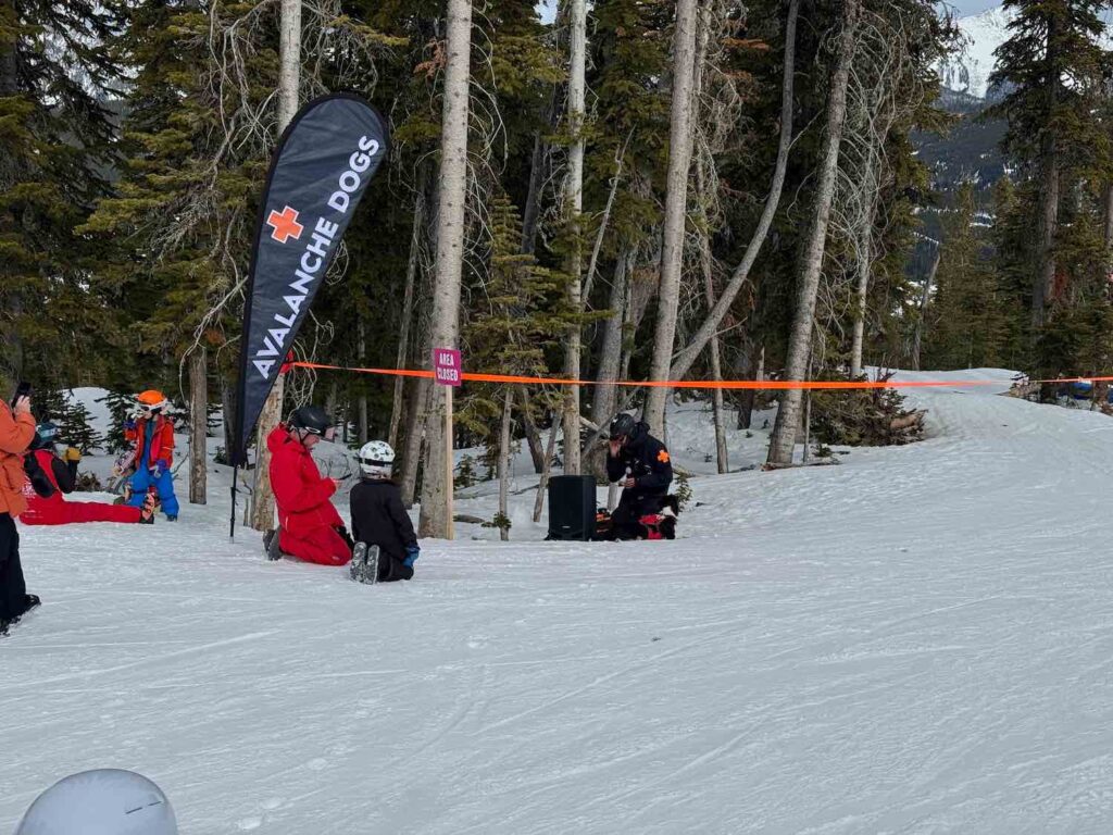Fagowees skiers watch avalanche dog training